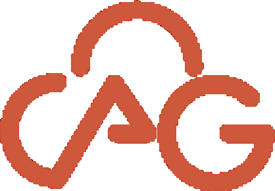 阿甘云 logo